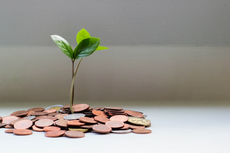 Payment & Banking APIs